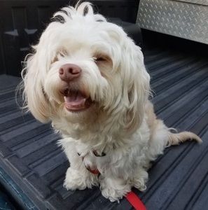 Meet your Posher, Maria